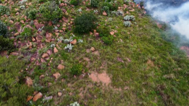 Aerial tilt up along smoky fynbos edge on rugged hillside terrain