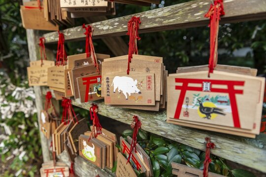 Written wishes to deities on small wooden boards, wish boards, Ema, Kumano Hayatama Taisha, Shinto Shrine, Wakayama, Japan