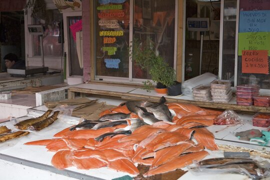 Salmon sold at a fish market in Puerto Mont, Region de los Lagos, Chile