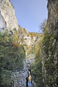 Doline, sinkhole, Velika dolina, aekocjan, Slovenia, Europe