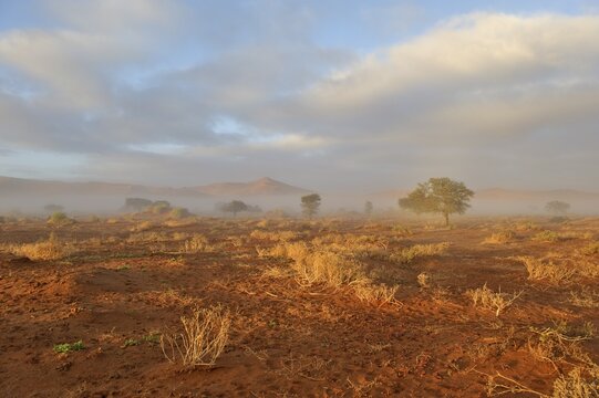 Sunrise over morning mist in the Namib Desert near Sossusvlei, Namibia, Africa