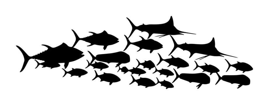 School of diverse fish silhouettes including tuna and marlin swimming in formation vector illustration for marine life and fishing concepts