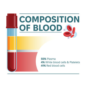 Composition of blood infographic vector illustration. Laboratory test tube and kinds of blood cells, plasma, platelets, white blood cells and red blood cells percentage.