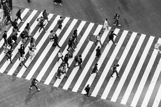 Shibuya crossing, crowds at intersection, many people cross zebra crossing, black and white, Shibuya, Udagawacho, Tokyo, Japan