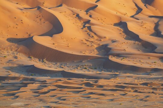 Sand dunes in the Rub Al Khali desert, the world's largest sand desert, Empty Quarter, Oman