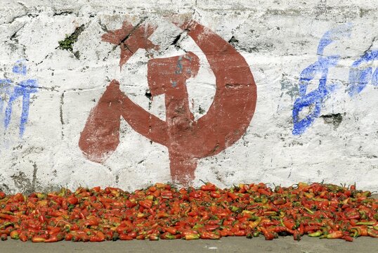 Chili peppers and campaigning for the Communist Party, Munnar, Kerala, South India, India, Asia