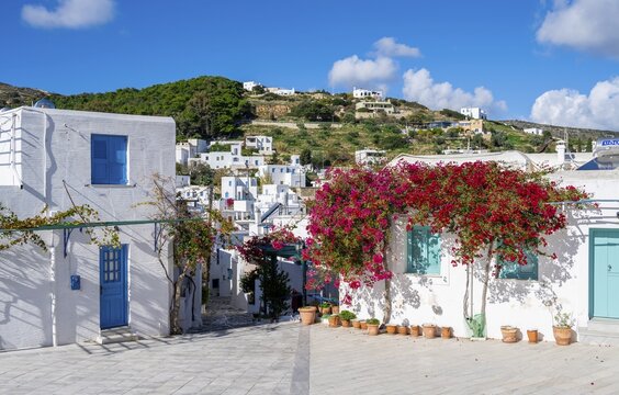 White and blue Cycladic houses with flowers, old town of Lefkes, Paros, Cyclades, Greece