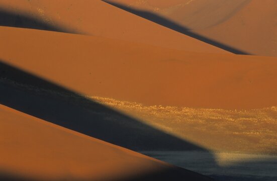 Red sand dunes, Sossusvlei, Namib-Naukluft National Park, Namibia, Africa