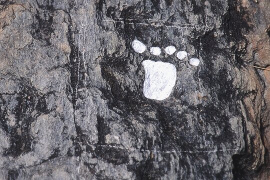 Petroglyphs of Vigirima, also known as Tronconero&rsquo;s Painted Stone, Piedra Pintada archaeological site, San Esteban National park, Carabobo state, Venezuela