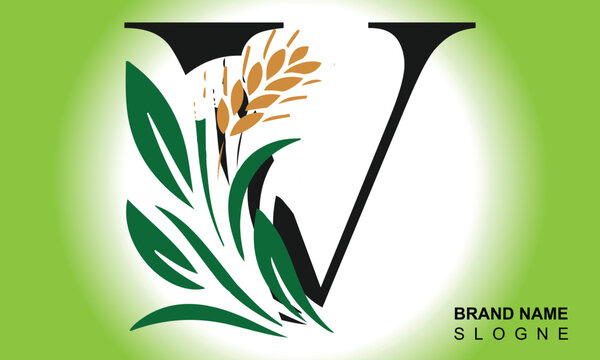 Letter V Line style logotype with wheat, rice organic grain products and healthy food vector illustration