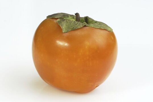 Japanese Persimmon fruit / (Diospyros kaki)