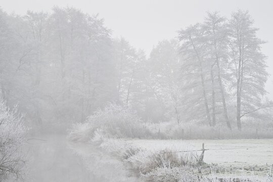 Floodplain landscape in hoar frost, Emsland, Lower Saxony, Germany