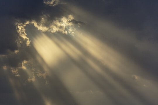 Cumulus cloud and rays of sunlight in the evening, rainy season, Kalahari Desert, Kgalagadi Transfrontier Park, South Africa