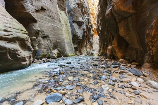 The Narrows, Virgin River, steep walls, Zion Canyon, Zion National Park, Utah, USA
