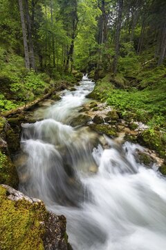 Torrent in Hartelsgraben, Ges&auml;use National Park, Styria, Austria