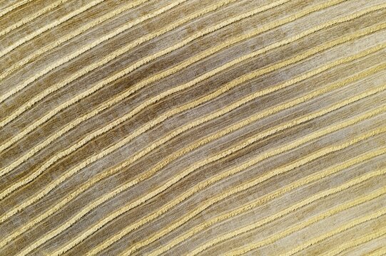 Bales of straw and abstract patterns in cornfield after wheat harvest, aerial view, drone shot, C&oacute;rdoba province, Andalusia, Spain