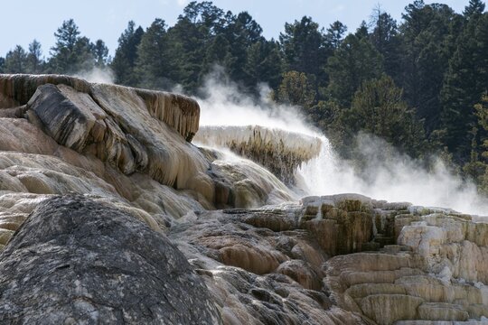 Sinter terraces, hot springs, mineral deposits, Palette Springs, Lower Terraces, Mammoth Hot Springs, Yellowstone National Park, Wyoming, USA