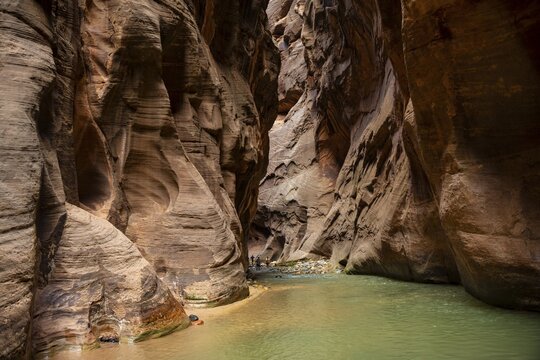 The Narrows, Virgin River, steep walls, Zion Canyon, Zion National Park, Utah, USA