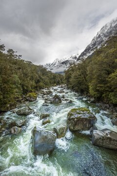 Hollyford river with snowy mountains, Whakatipu Ka Tuka, Fiordland National Park, Te Anau, Southland Region, Southland, New Zealand