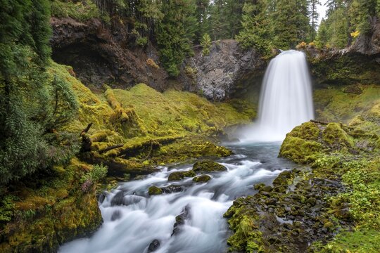 Waterfall, long exposure, Sahalie Falls, forest with moss, Oregon, USA