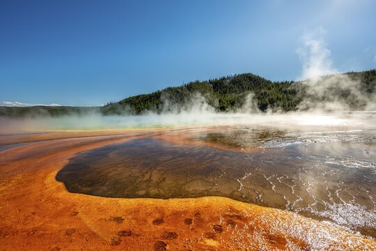 Steaming hot spring with colored mineral deposits, Grand Prismatic Spring, Midway Geyser Basin, Yellowstone National Park, Wyoming, USA