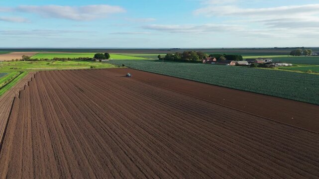 Aerial view of a green tractor plowing a field, cultivating land with a spike tooth harrow cutting, birds in the field looking for food. Summer sunset rural farmland, food production and crop harvest.
