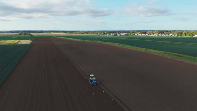 Aerial view of a green tractor plowing a field, cultivating land with a spike tooth harrow cutting, birds in the field looking for food. Summer sunset rural farmland, food production and crop harvest.