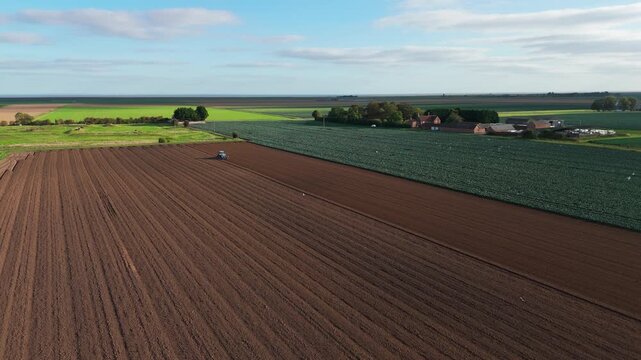 Aerial view of a green tractor plowing a field, cultivating land with a spike tooth harrow cutting, birds in the field looking for food. Summer sunset rural farmland, food production and crop harvest.