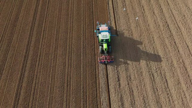 Aerial view of a green tractor plowing a field, cultivating land with a spike tooth harrow cutting, birds in the field looking for food. Summer sunset rural farmland, food production and crop harvest.