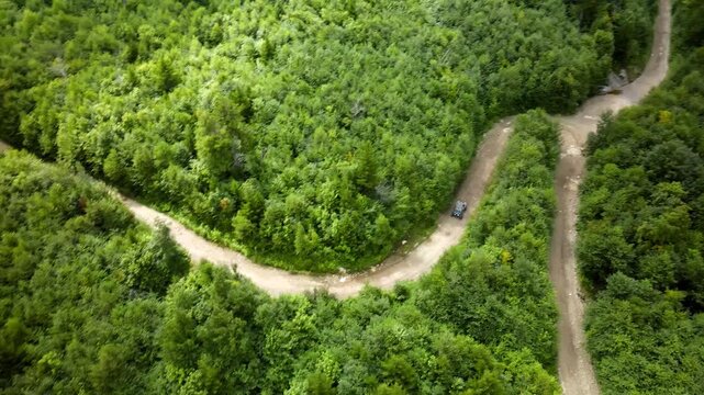 Drone footage captures a vehicle navigating a winding dirt road cutting through dense green forest from above.