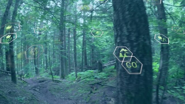 Camera moving forward right, tree nearing while glowing CO and factory icons mapping environment