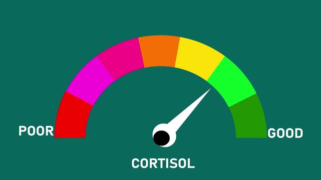 Animated digital gauge displays cortisol level, ranging from safe low to critical high, indicator changes through green, yellow, and Motion graphics of mater level concept