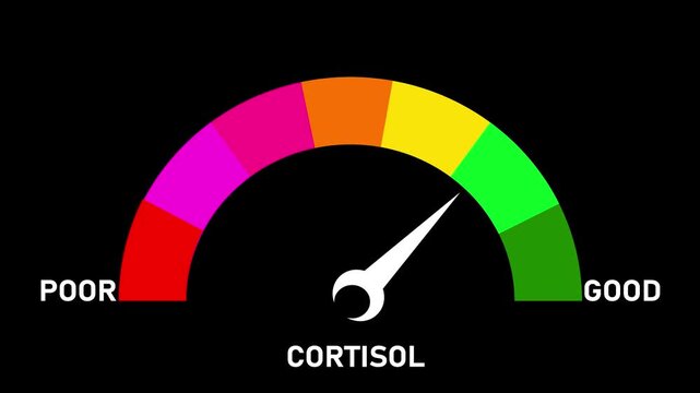 Animated digital gauge displays cortisol level, ranging from safe low to critical high, indicator changes through green, yellow, and Motion graphics of mater level concept