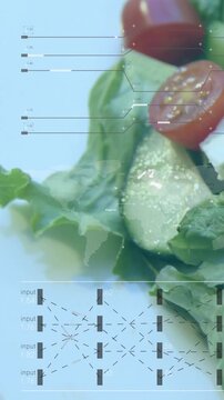Vertical video: Camera pulling back and panning, showing composed salad with HUD for product demo