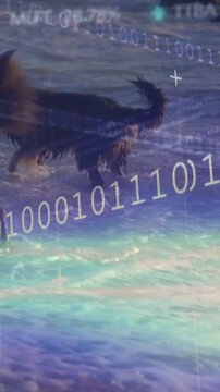 Vertical video: Longhaired dog entering surf and heading seaward, tech binary overlay tracking