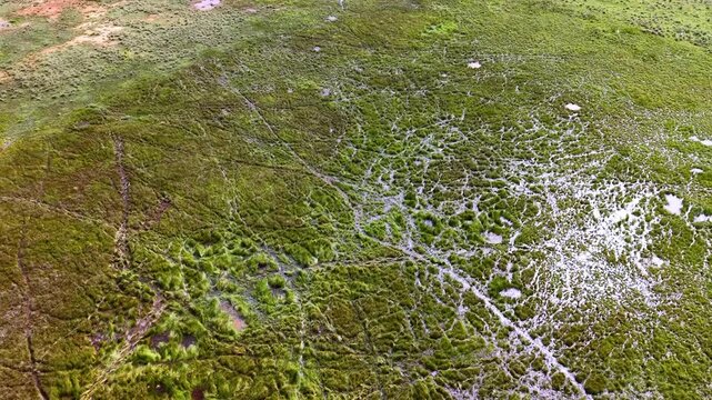 Aerial Wetland Marshland Vegetation Pools Channels and Tracks