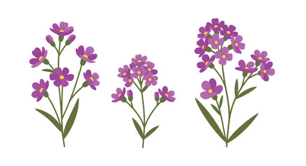 Obraz premium Delicate clusters of small purple flowers with bright yellow centers and slender green stems arranged elegantly against a clean and bright white surface.