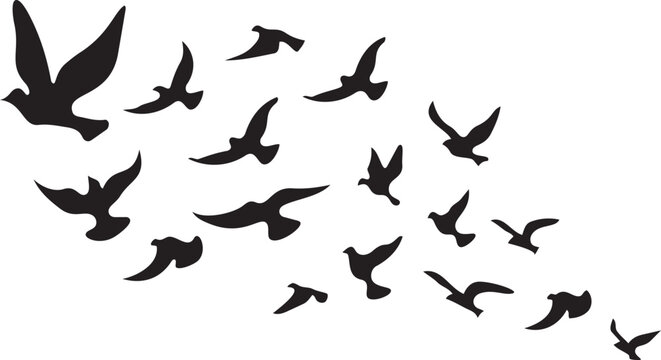 Soaring Birds Silhouettes: A flock of birds takes flight against a vibrant sky, their silhouettes capturing a sense of freedom, movement, and the beauty of nature.png