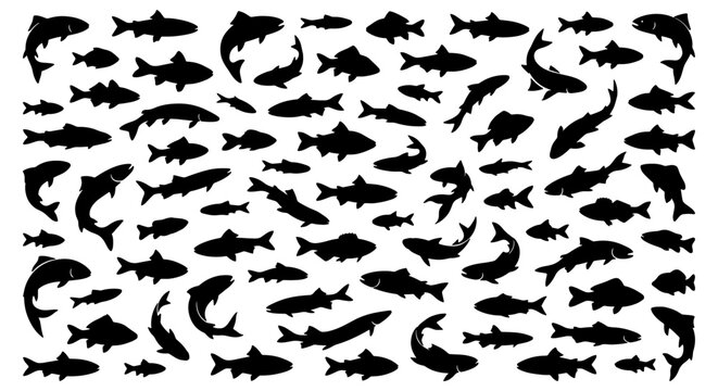 Black fish silhouette collection, large set of aquatic animal shapes, isolated sea life vector elements for fishing and nature design