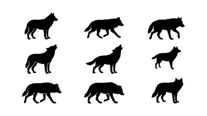 Naklejka premium Black wolf silhouette set with 9 vector elements, howling and walking wild dog silhouettes, forest predator animal shapes for logos and design