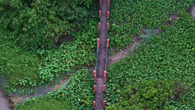 Drone view Labuh Banting wooden bridge over marshland