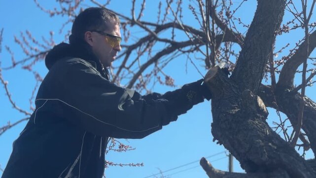 Gardener cutting tree branches with an electric chainsaw in the garden