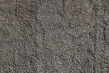 Close-up of rough plaster wall with small stones and marble chips, uneven surface, natural gray tones, outdoor facade texture. © lucky pics