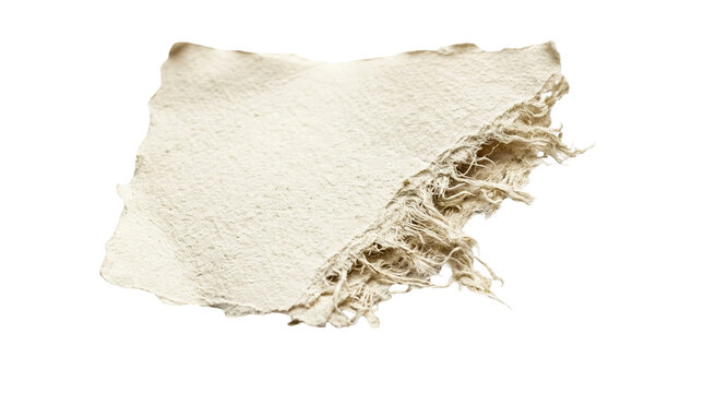 Handmade deckle edge paper, vintage cotton rag texture, rustic cream parchment for stationery isolated on Transparent Background