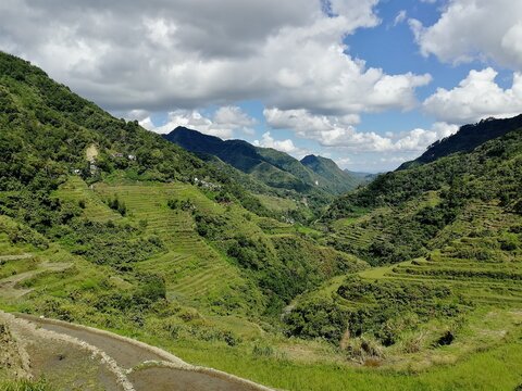 Rice Terraces of the Philippine Cordilleras, rice fields in Banaue region,Philippines ,Asia, rice production traditional agriculture,World Heritage Site consisting of a complex of rice terraces panora