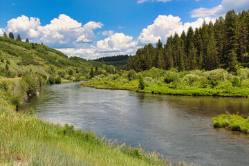 Obraz premium Early Summer Flow on the Fall River in Northeastern Idaho.