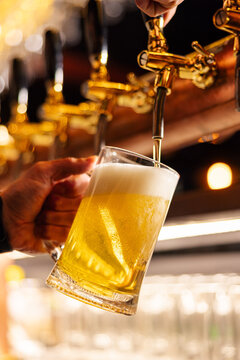 Draft beer pouring from tap into glass mug with foam
Close up of bartender pouring fresh beer at bar
Golden beer being served from tap with rich foam head
