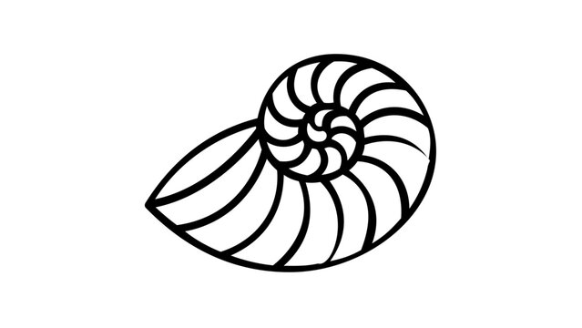 Minimalist nautilus shell vector icon illustration featuring a clean black line art spiral design, perfect for nautical maritime themes, marine biology education, and beach-inspired graphic art.