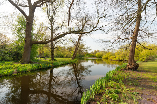 Serene Amsterdam park pond with trees and spring reflections