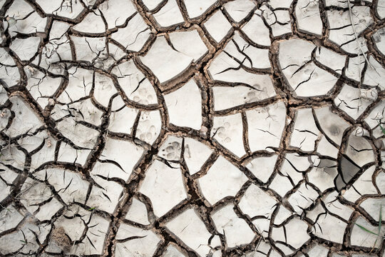 Cracked dry earth texture with mud pattern and drought concept